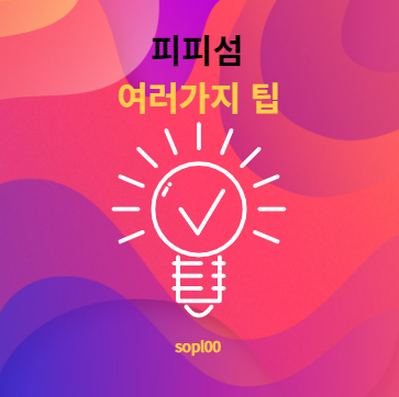 피피섬에 관한 여러가지 팁 Tips