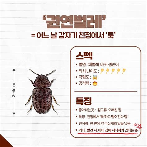 화장실 벌레 퇴치 방법