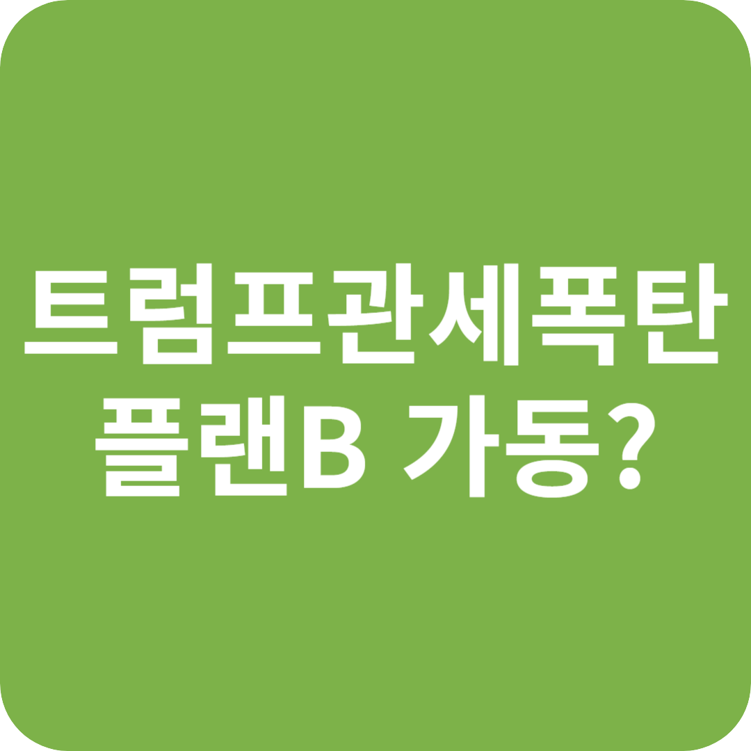트럼프 관세 폭탄, '플랜 B' 가동?
