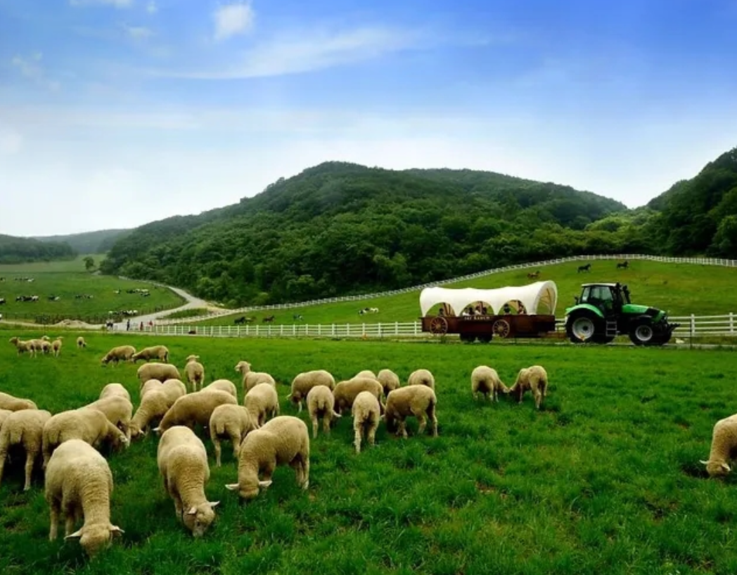 가평 가볼만한곳 베스트10