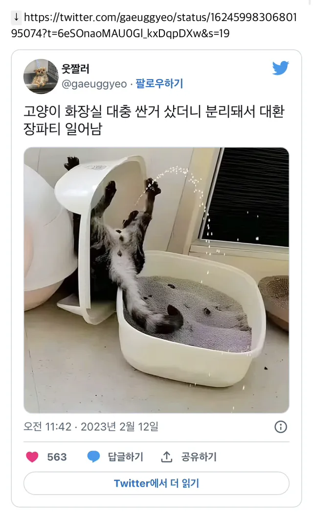 고양이 화장실 크기 대형 자동화장실 추천_8