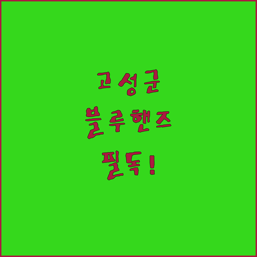 현대자동차 블루핸즈 고성군 지점별 정..