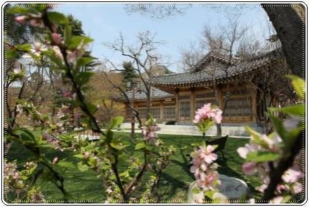 청와대 야간개방 예약&amp;#44; 관람 신청 방법&amp;#44; 주차정보(밤의산책)