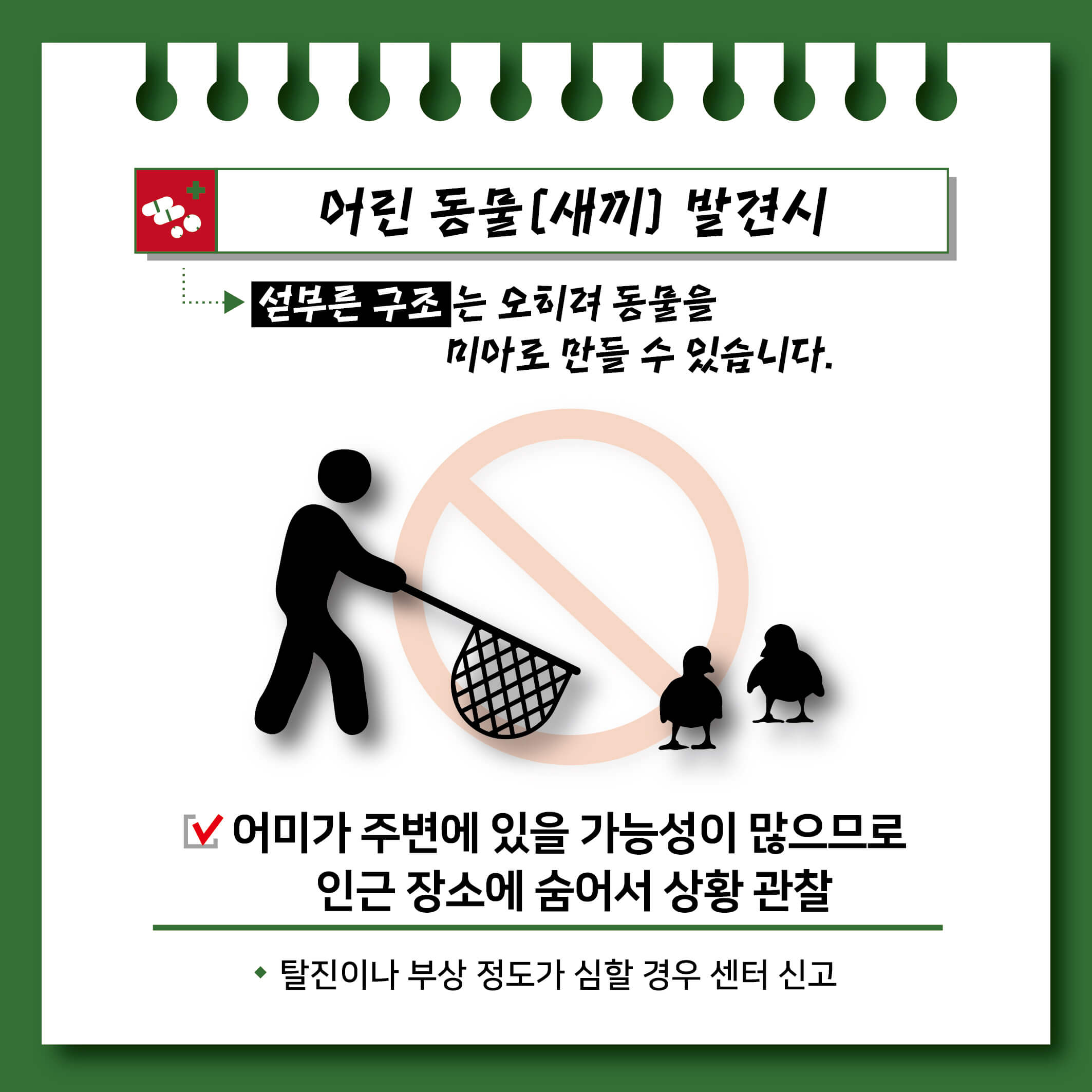 가을 단풍 여행지 추천 장소 _ 두륜산, 무등산, 내장산, 계룡산, 북한산