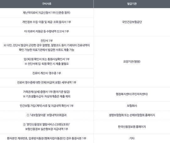 재난적의료비 지원사업