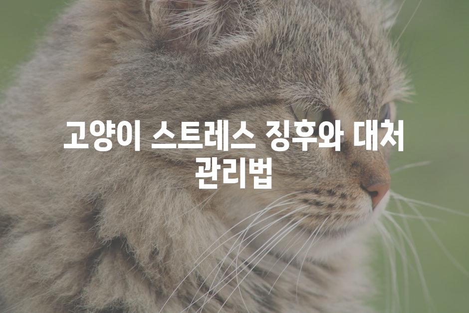 Cat Stress 2