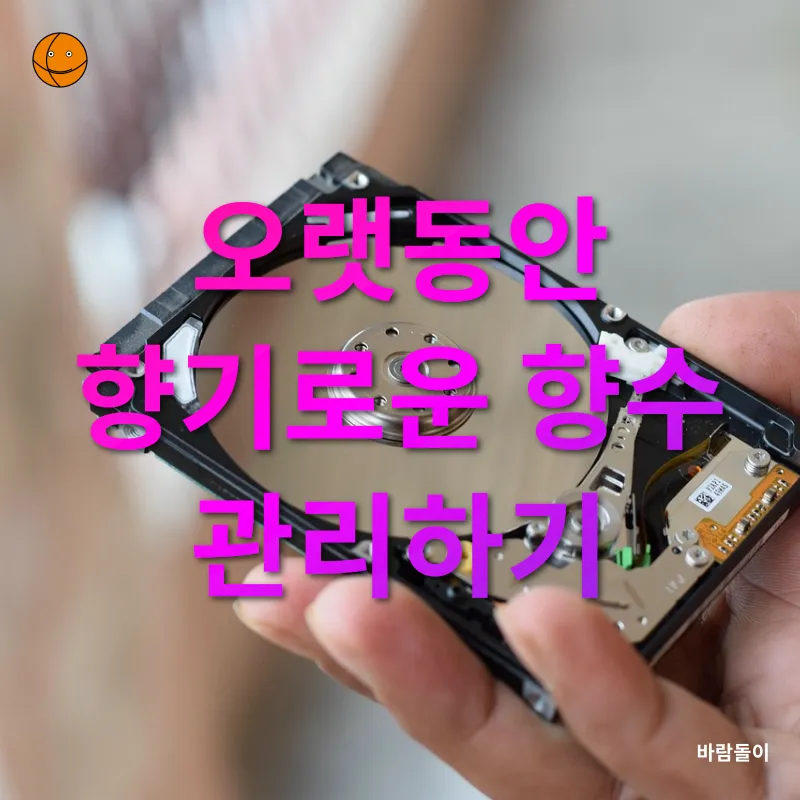 향수 수납법_3