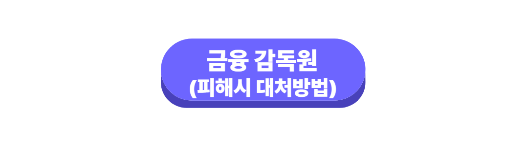 금융감독원(피해시 대처방법)