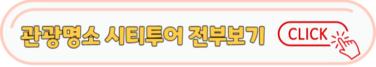 여행가는달 시티투어버스