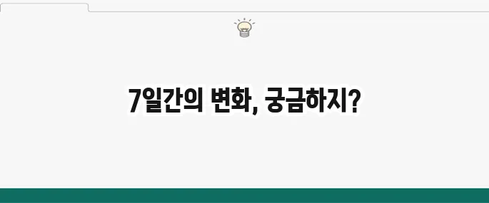 살 빠지는 다이어트 식단: 초보자도 쉽게 따라하는 7일 식단표