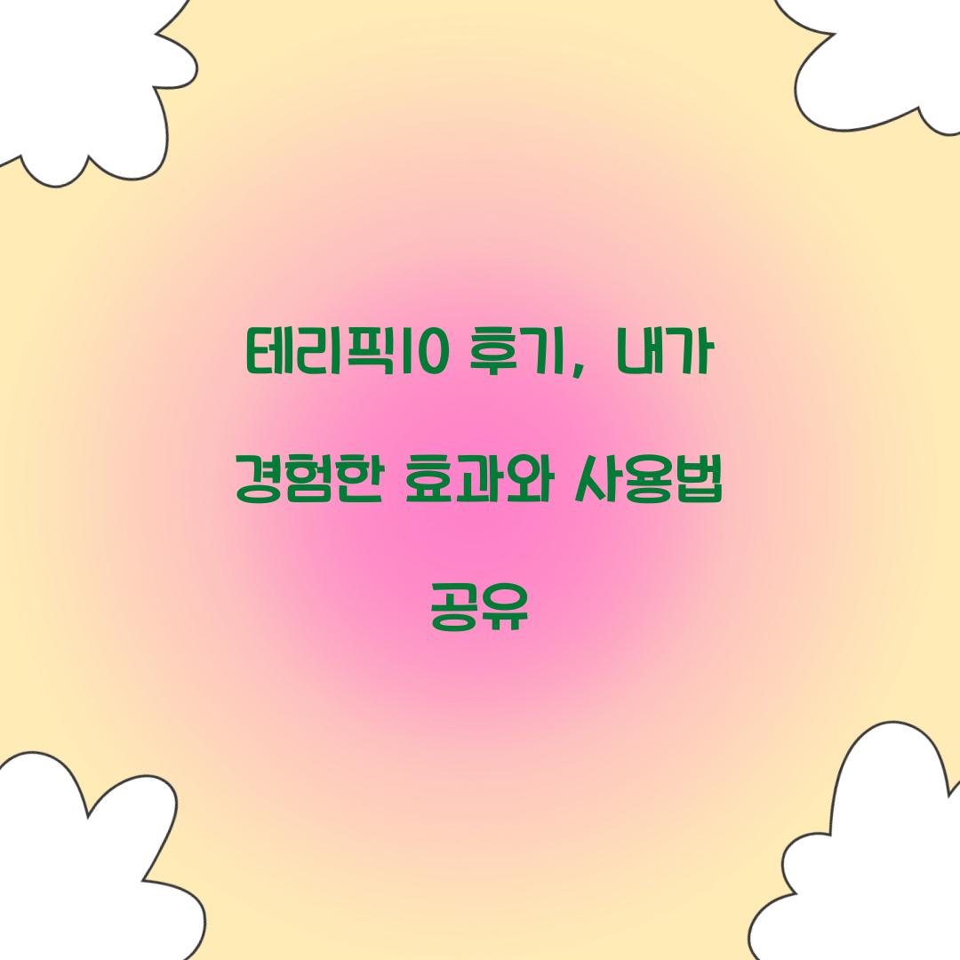 테리픽10 후기