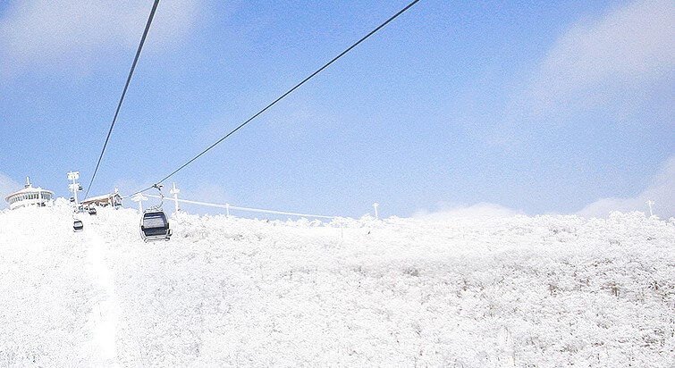 강원도 휘닉스 스키장