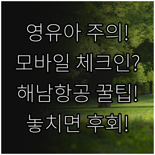 해남항공 모바일 체크인, 영유아 동반..