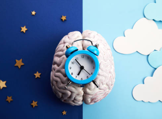 규칙적인 수면 습관