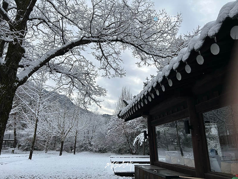 포천 캠프운악 캠핑장 소개