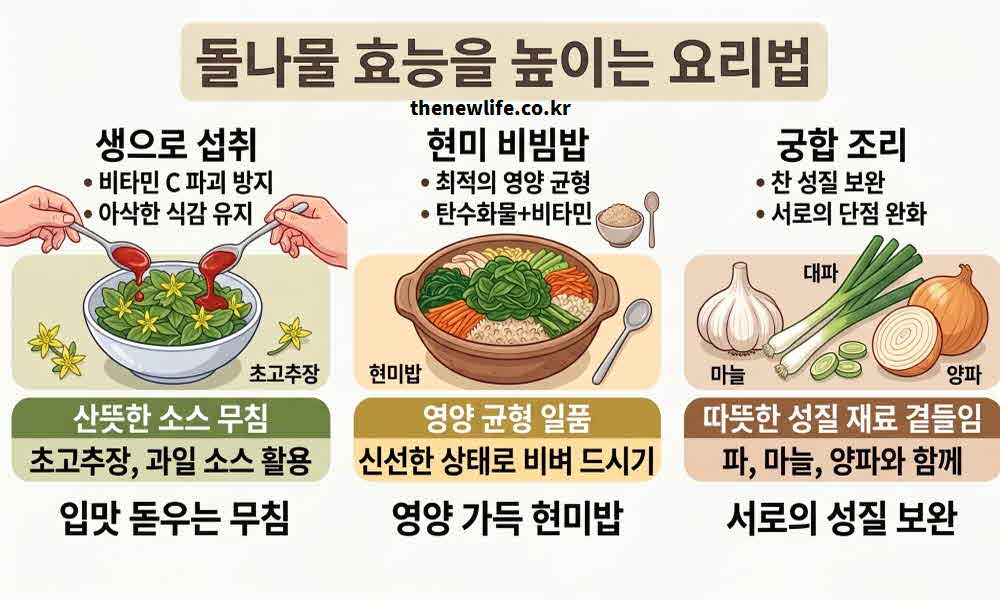 돌나물 효능 높이는 요리법