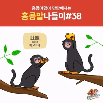 홍콩 저녁 인사말 모음 예시 인사예절_25