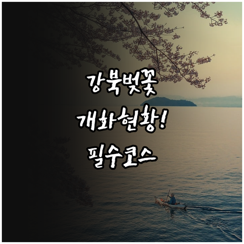 강북구 주요 벚꽃길 개화 현황 및 축..