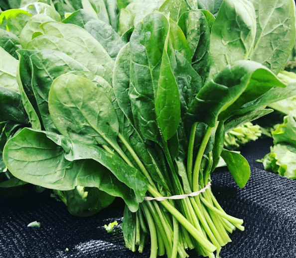 기억력 향상에 좋은 음식 TOP7