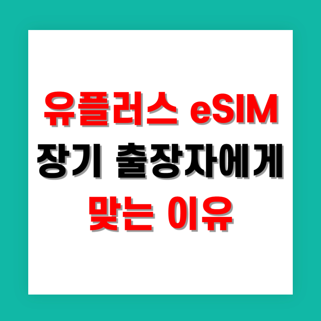 유플러스 eSIM, 장기 출장자에게 맞는 이유