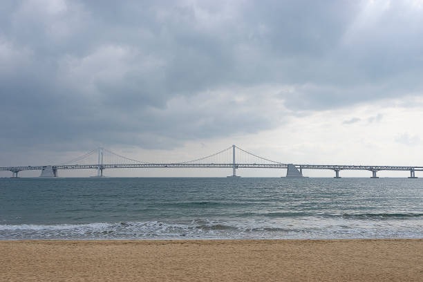 부산 광안리 해수욕장 개장 및 편의시설 정보