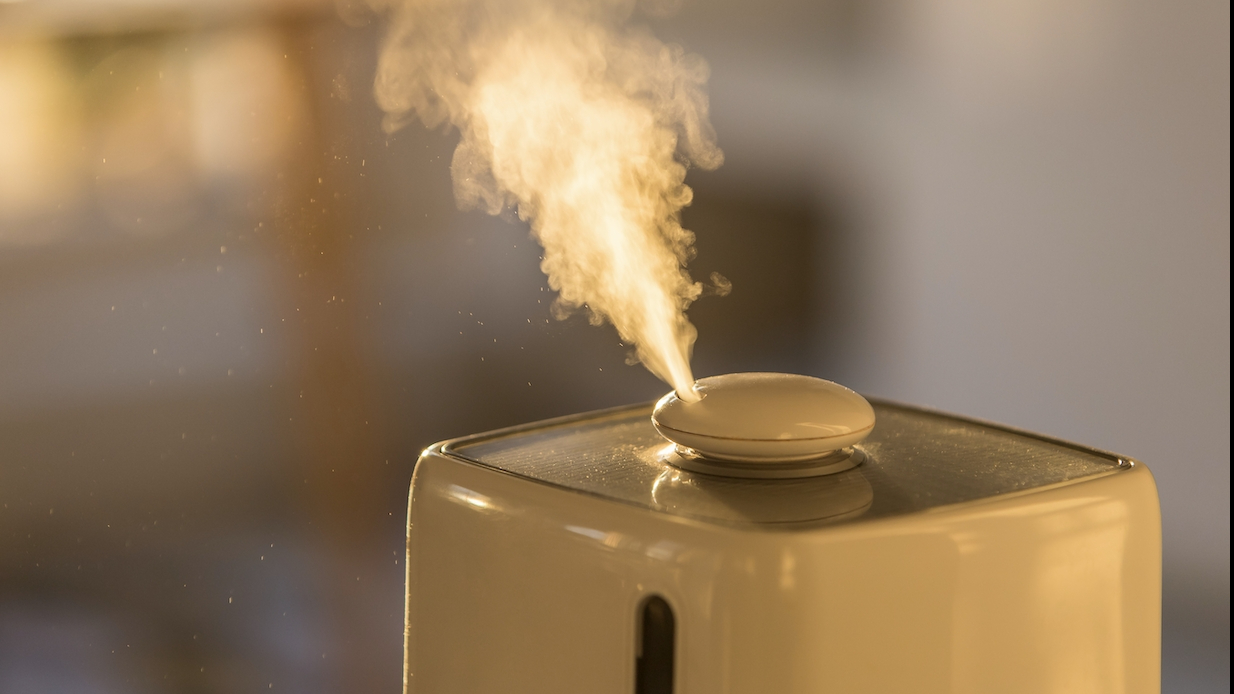 현재 증상의 원인일 수 있는 것들