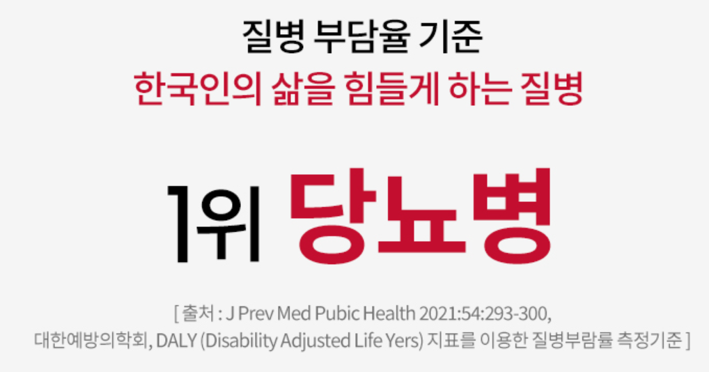 솔티스 혈당 프로텍션 프로