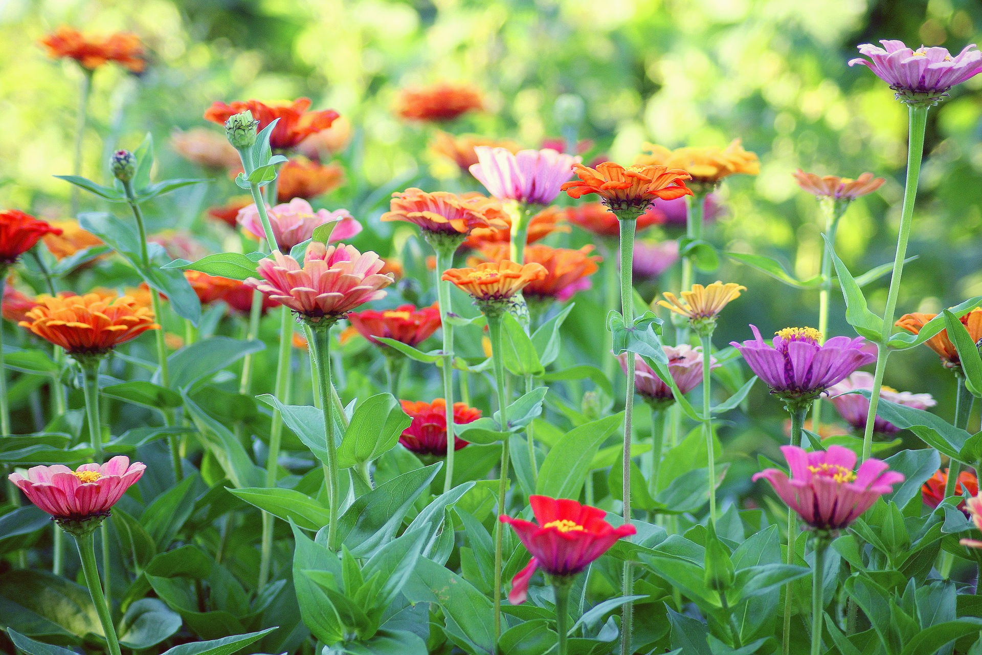 농협 주식계좌 개설방법