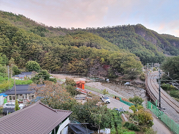 강원도 삼척시 오십천 풍경