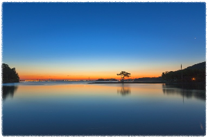 개미허리아치교