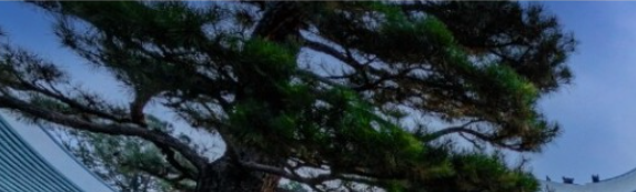 청와대 야간관람신청