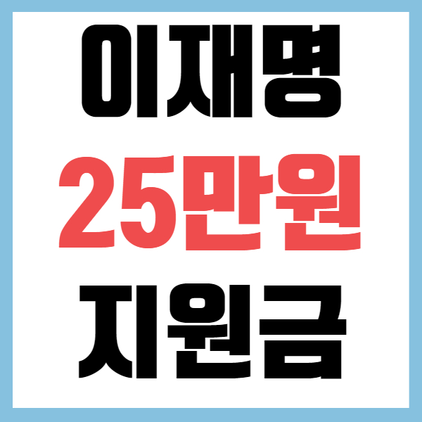 전국민 25만원