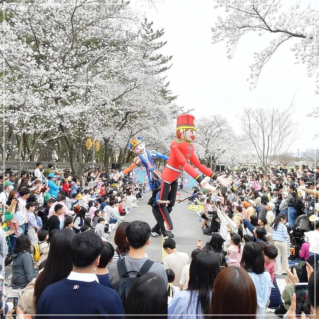 경주대릉원돌담길벚꽃축제