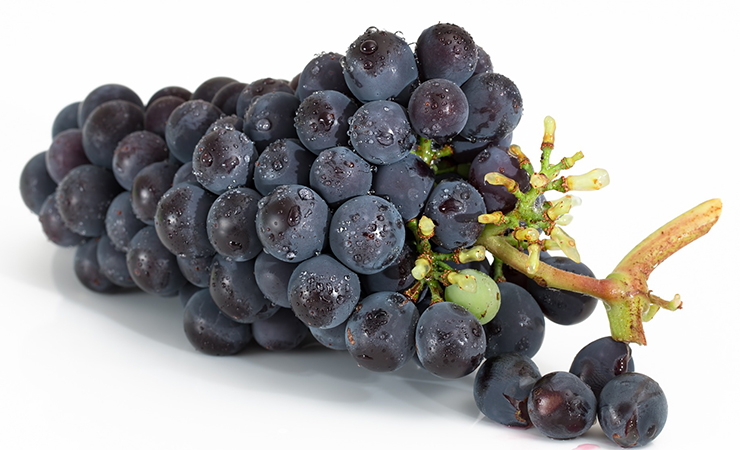 혈액순환에 좋은 포도
