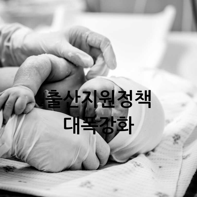 2025년출산양육지원