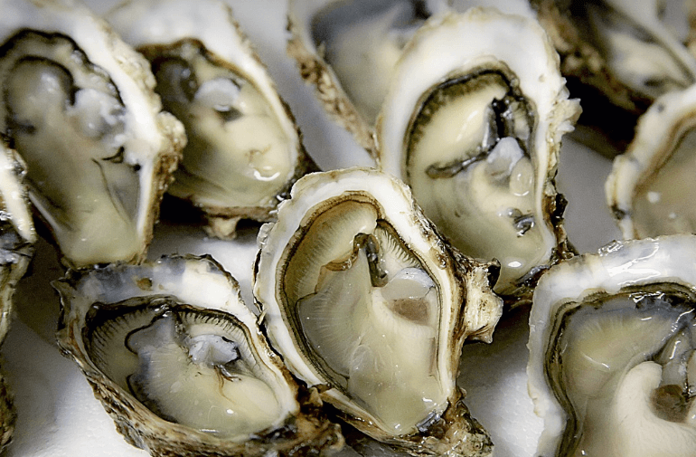 철분부족 증상 및 치료법