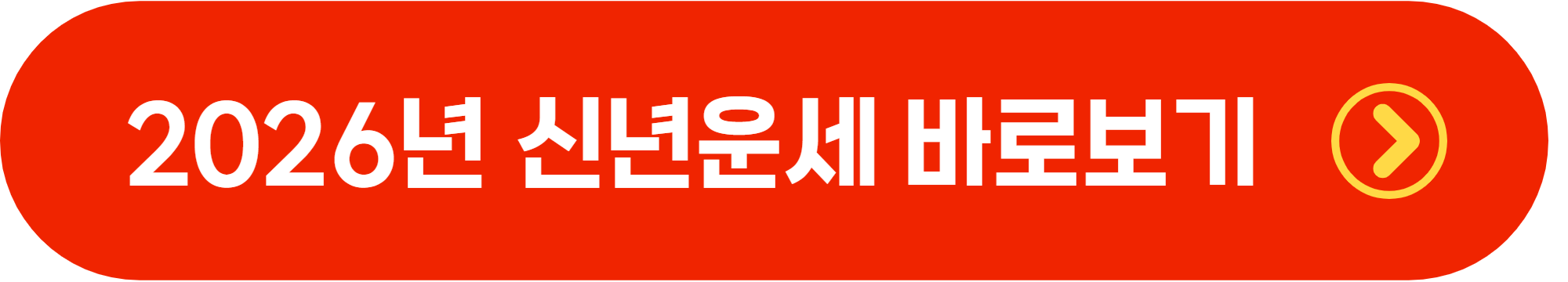 2026 돼지띠 무료 신년운세 토정비결 총정리