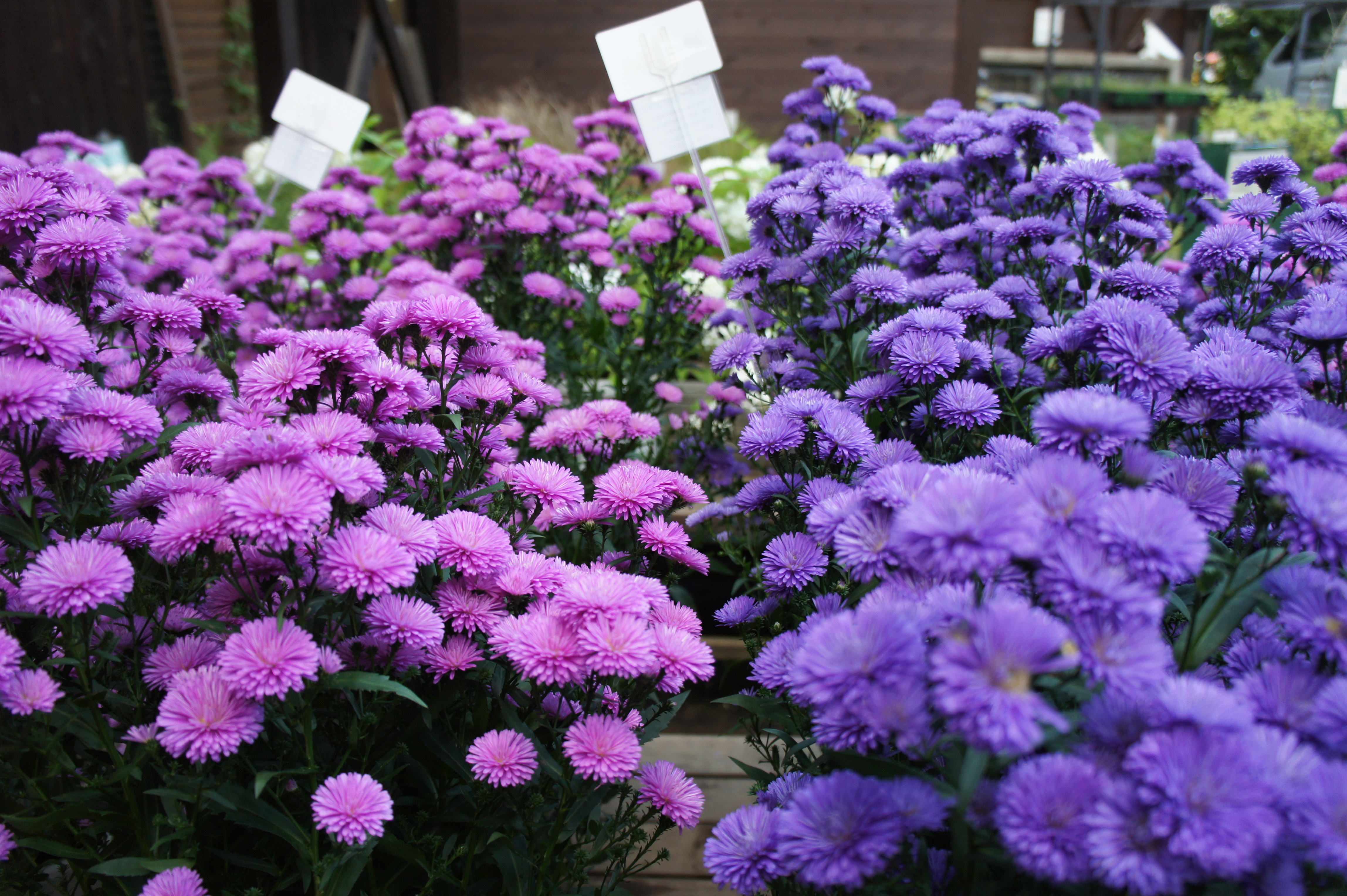 50대가 지금부터 해야 하는 &lsquo;안전 재테크&rsquo; 5선