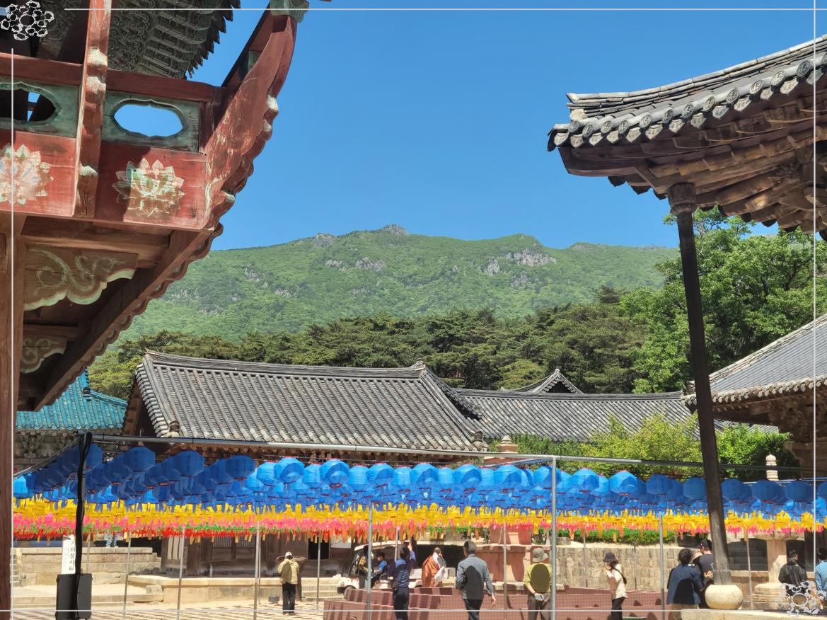 2026 양산 통도사 부처님 오신 날 방문 가이드: 주차팁부터 연등 시간까지!