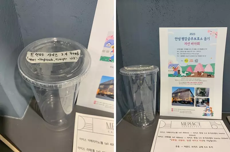 트렌타 사이즈 실물사진