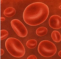 공복혈당 정상수치