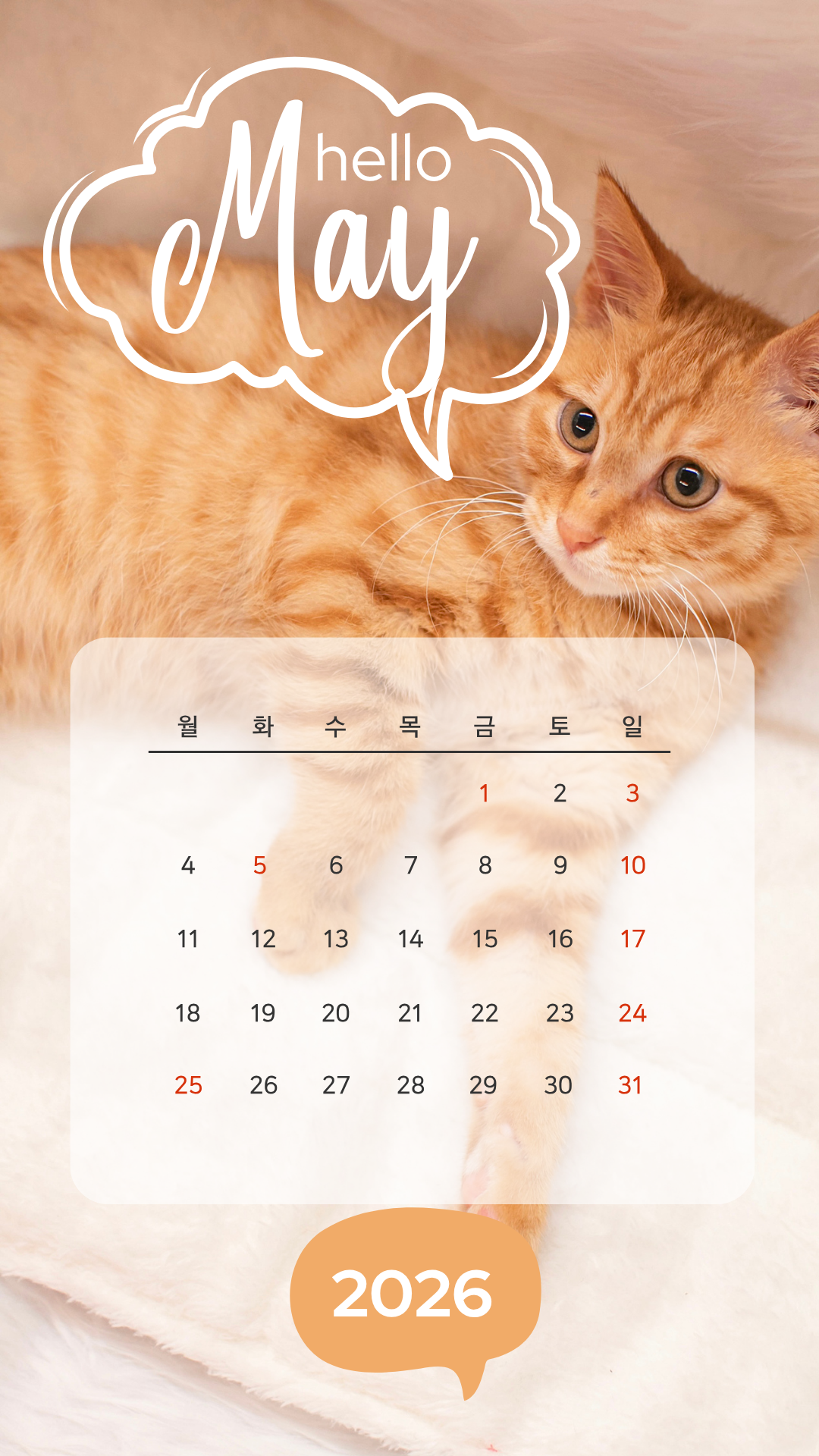 2026년5월 달력 배경화면 스마트폰 바탕화면 이미지 사진 모음