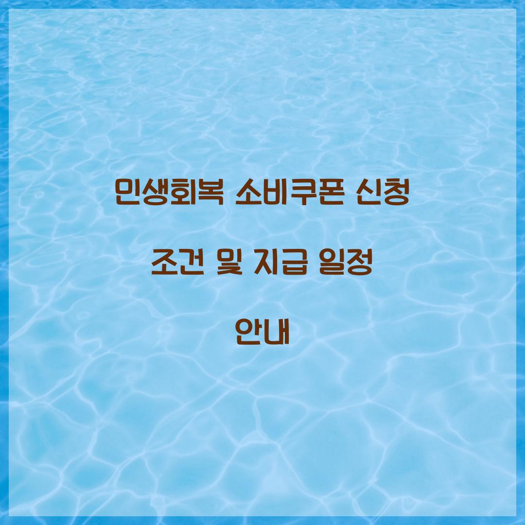 민생회복 소비쿠폰