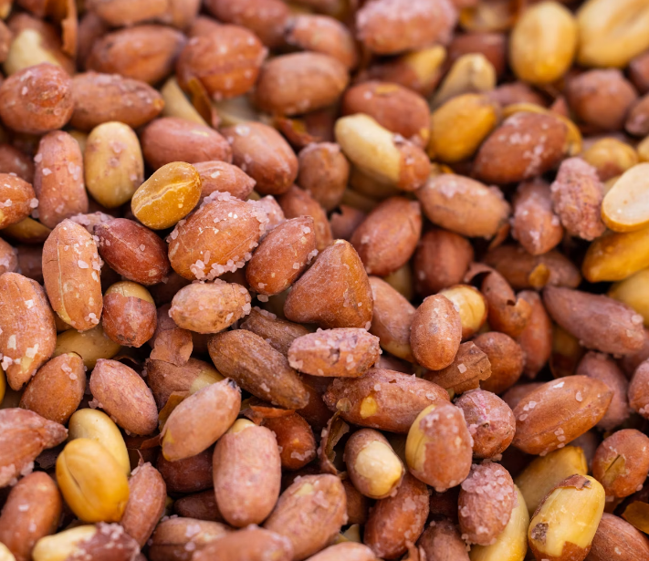 땅콩 효능 : 소화 건강 개선