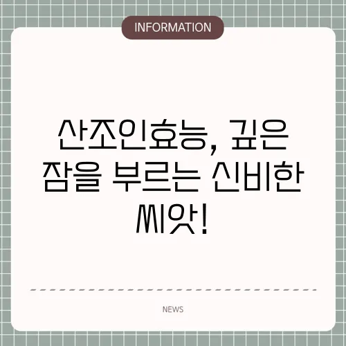 산조인효능, 깊은 잠을 부르는 신비한 씨앗!