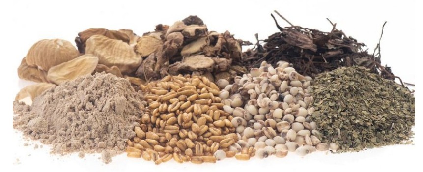 감비환의 주요 성분