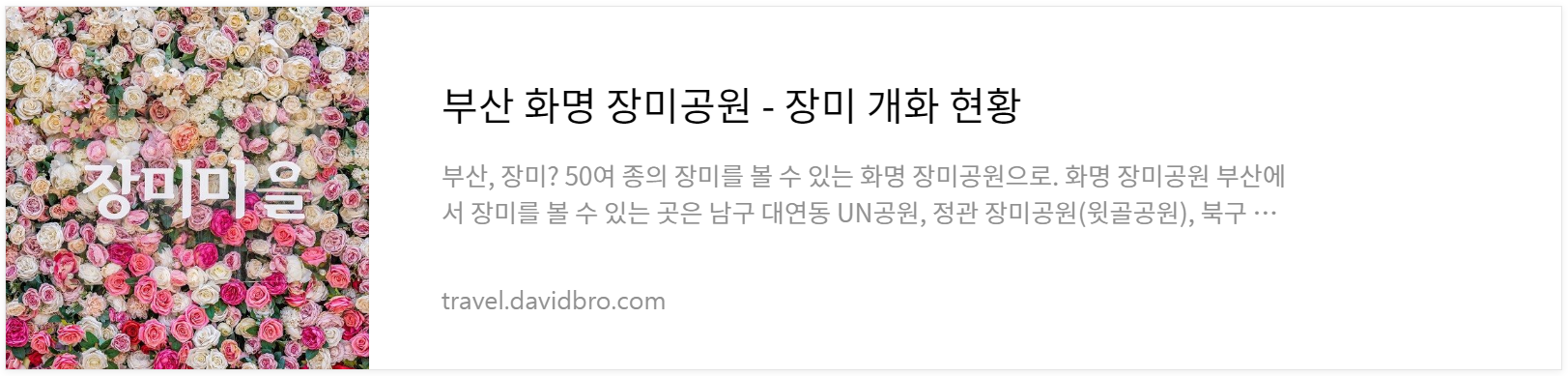 화명동 장미공원