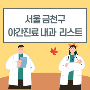 서울 금천구 야간진료 내과 병원 리스트 (18시 이후 늦게까지하는 병원)