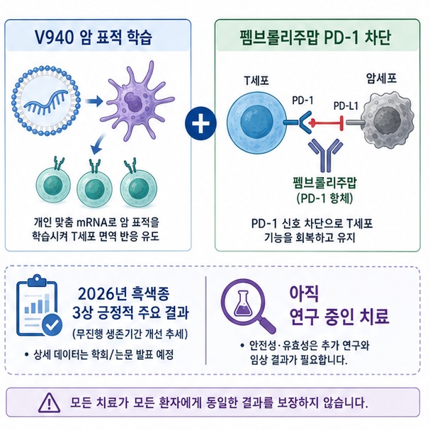 V940이 암 표적 T세포 반응을 유도하고 펨브롤리주맙이 PD-1 억제 신호를 차단하는 병용 원리와 현재 임상개발 단계임을 보여주는 그림