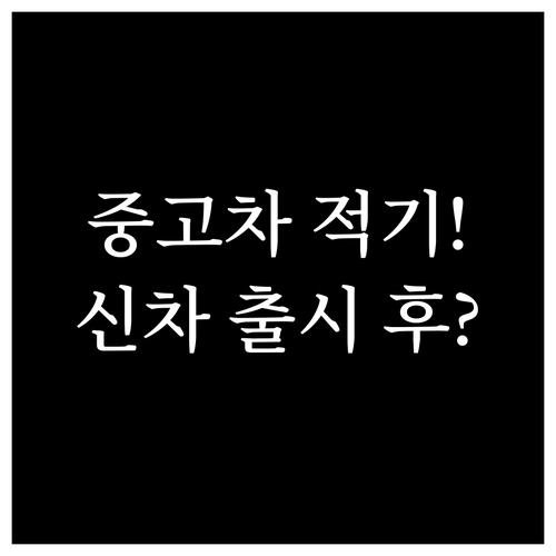 중고차 구매 적기 연말 연초 신모델 ..